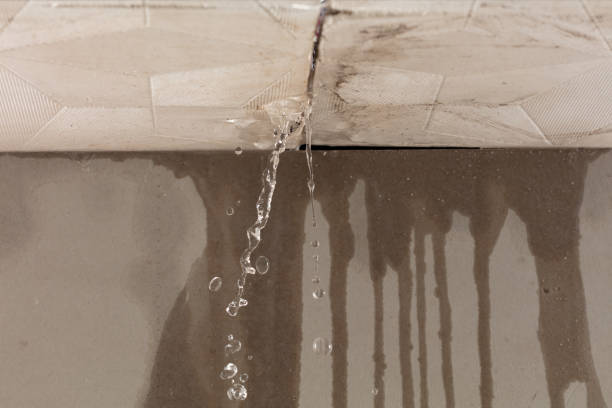 Professional Structural Drying technician working in Marion, TX